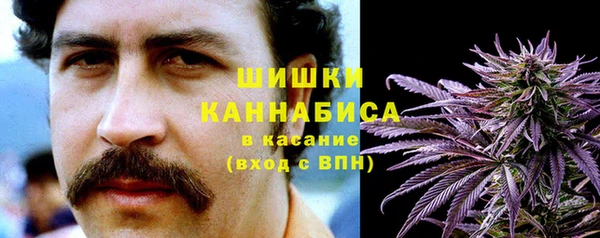 mix Пересвет