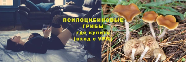 сатива Пестово