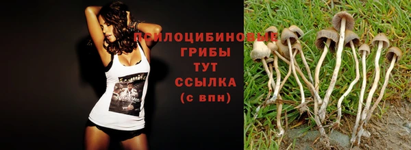 сатива Пестово