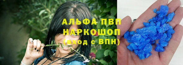 сатива Пестово